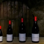 Ý nghĩa kích thước chai rượu vang: Có thể bạn nên biết!