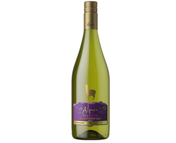 Rượu vang trắng Chile Alpaca Chardonnay Premium