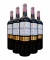 Rượu vang Chile Santo Molina Cabernet Sauvignon