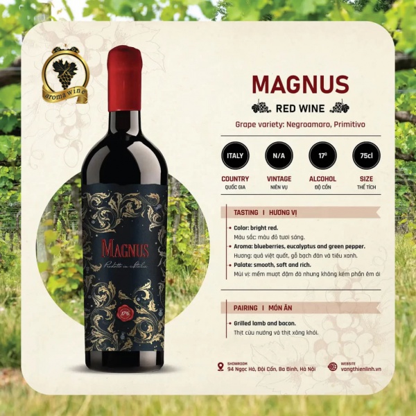 Rượu vang Magnus  17%