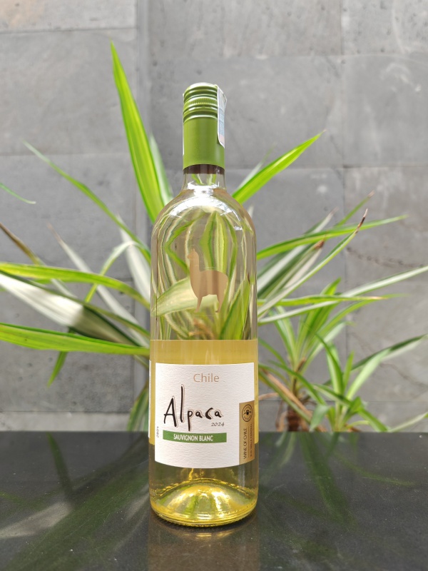 Rượu vang trắng Chile Alpaca Sauvignon BlanC 