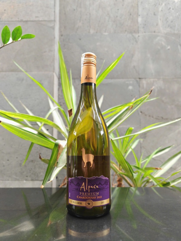 Rượu vang trắng Alcapa Chardonnay Premium 