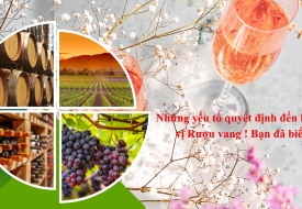 Những yếu tố quyết định đến hương vị Rượu vang ! Bạn đã biết?