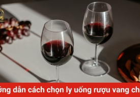 Hướng dẫn cách chọn ly uống rượu vang chuẩn nhất